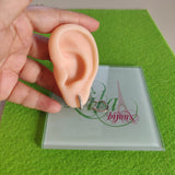 Argollas plata 925-93